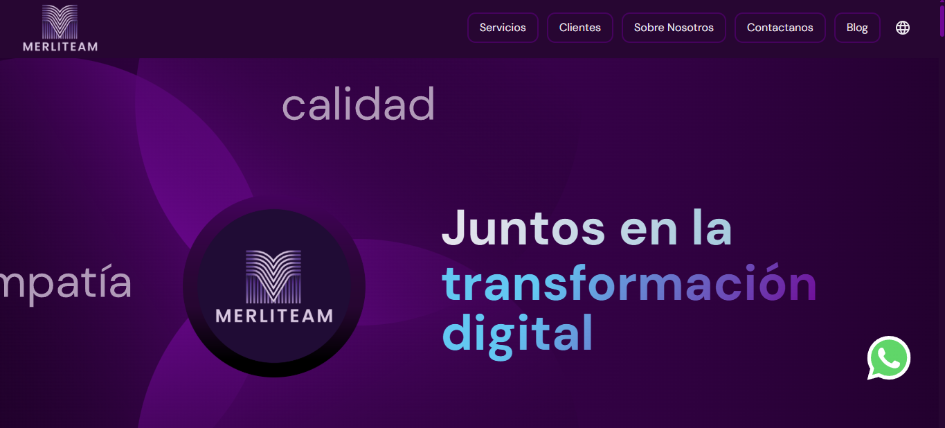 Internal Tools & Web Solutions – Merliteam